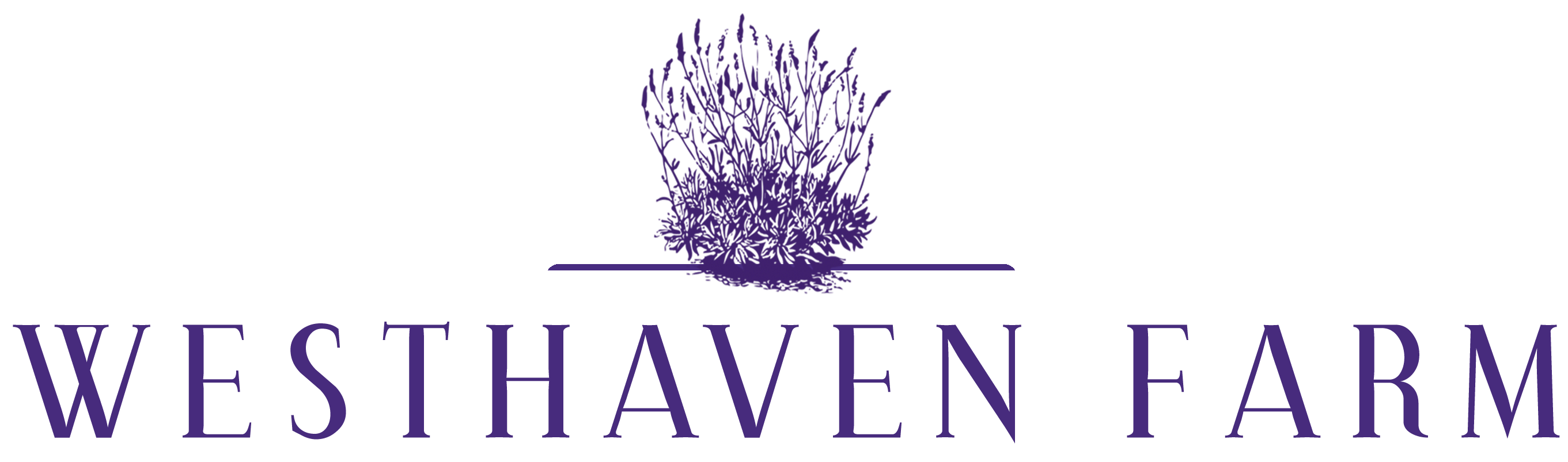 Graphic design of a logo showing a bush of purple lavender sitting on top of a line with the words Westhaven Farm in purple
