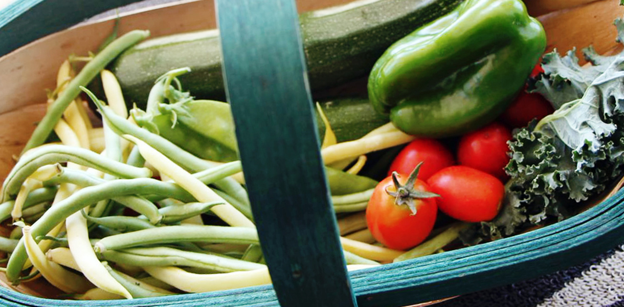 Closeup view of a green handled basket showing fresh garden peas, tomatoes, kale, zucchini and green bell pepper